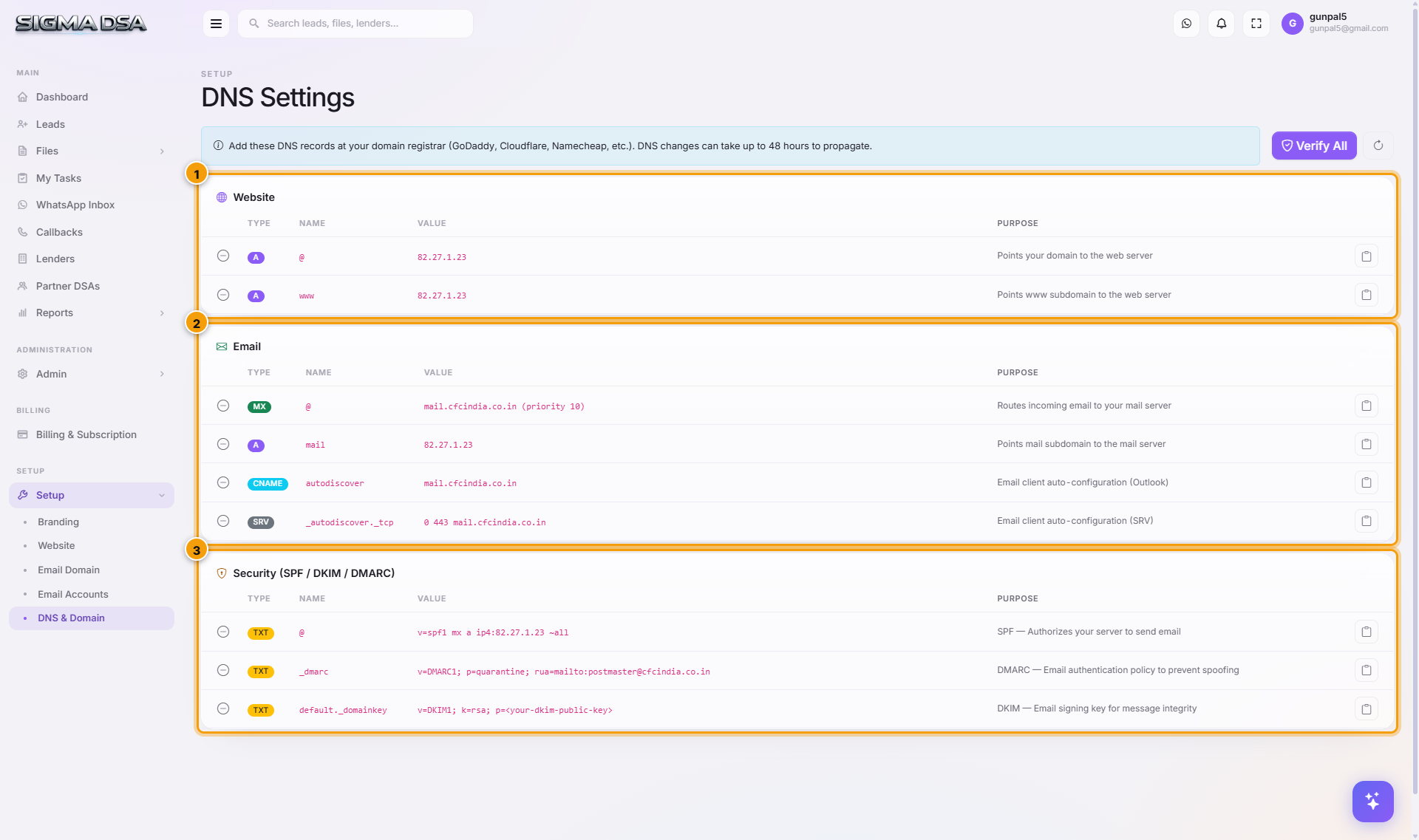 DNS Settings page with Website, Email, Security records grouped into cards and Verify All button highlighted